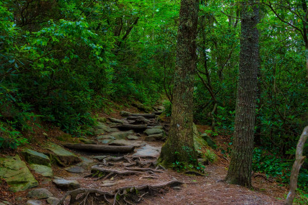 istock Blue Ridge Parkway Linville Waterfalls 1157359781