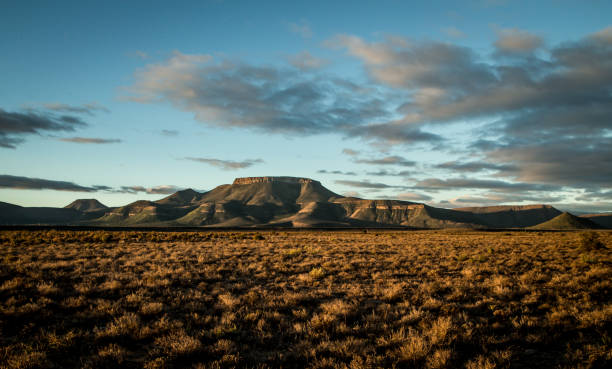 paisaje de karoo - the karoo fotografías e imágenes de stock