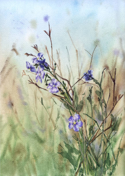 istock watercolor  illustration. landscape with meadow and purple flowers 1157364035