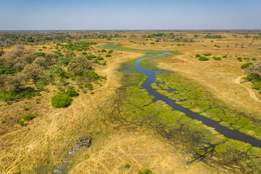 Aerial view of  Khwai river, Moremi National Park in Okavango Delta, Botswana, Africa.
