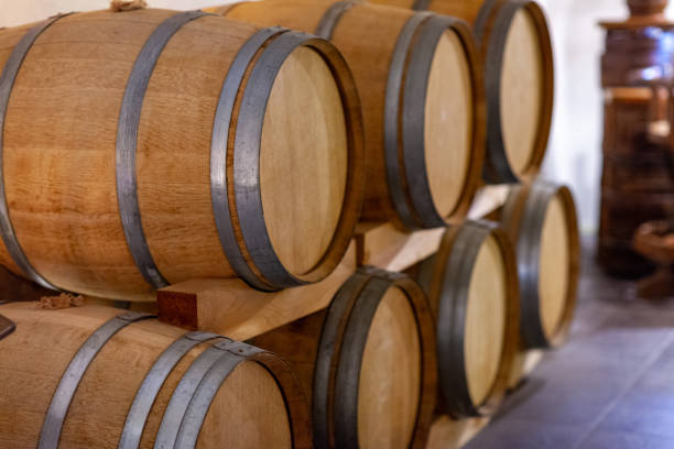 istock Wine barrels in wine-vaults in order 1157368596