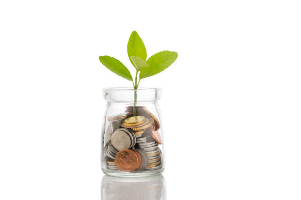 Coins in a bottle and green tree, Financial growth.