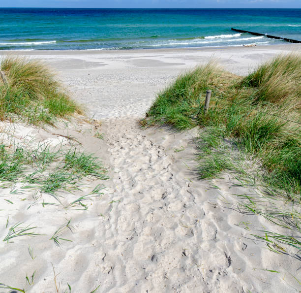 istock Entrance to a sandy beach 1157369372
