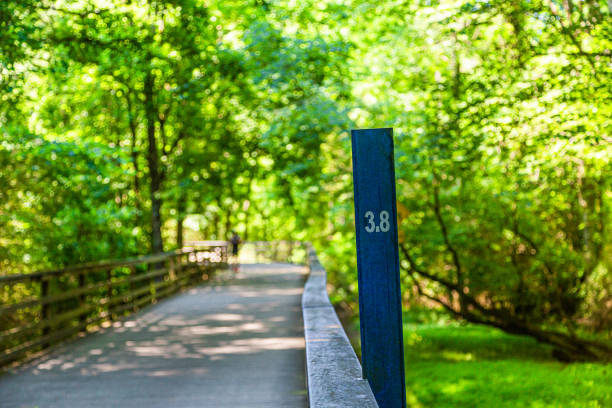 Mile Marker with Curve Ahead on a walking, running, biking and fistness trail through woodlands and wetlands in Georgia