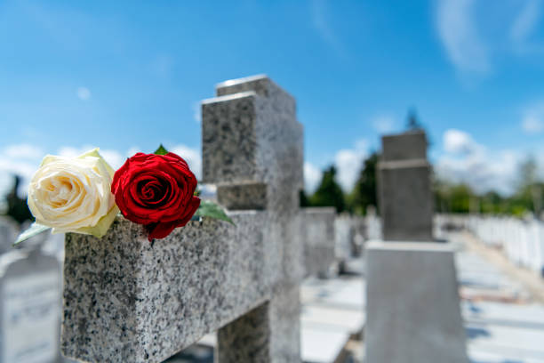 istock Flower on memorial stone close up 1157371899