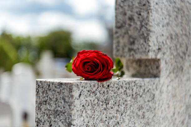 istock Flower on memorial stone close up 1157372750