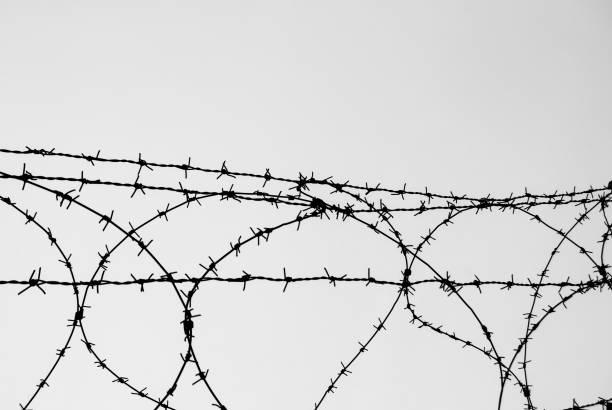 istock Barbed wire on the sky in black and white 1157374546