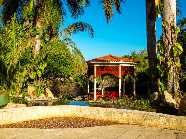 istock Quality Cuban resorts with nice amenities 1157376322