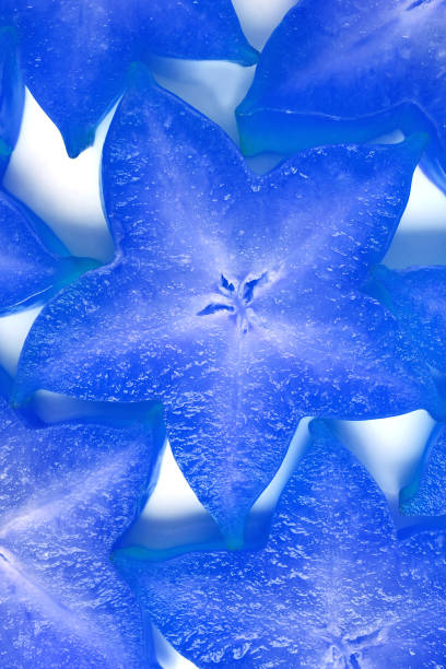 Vertical Image of Ripe Fresh Star Fruit Slices in Vivid Blue for Background or Banner