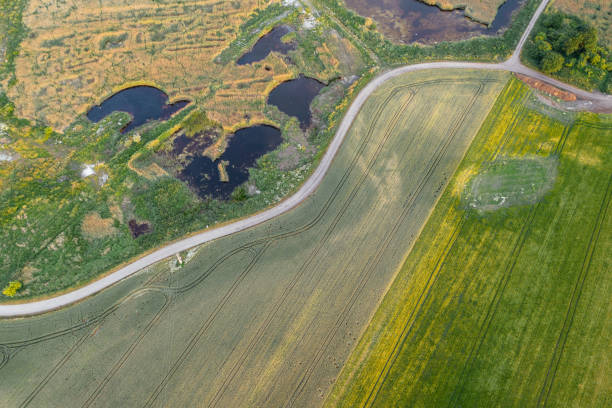 istock Top down view of an agricultural field. 1157381563