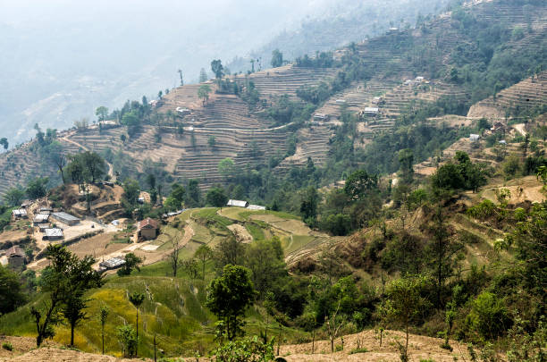Nepalese village near Nagarkot, Nepal aerial view of villages near Nagarkot, Nepal nagarkot photos stock pictures, royalty-free photos & images