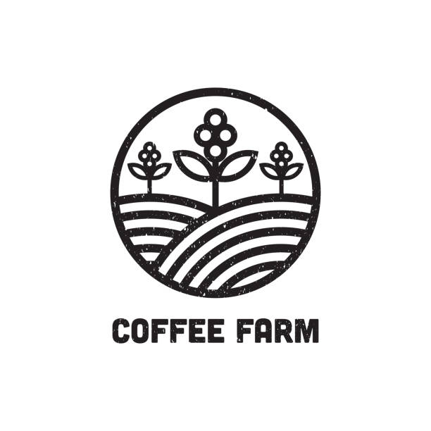 illustrations, cliparts, dessins animés et icônes de café farm logo design inspiration, peut utilisé café et bar modèle logo - backgrounds bean drink caffeine