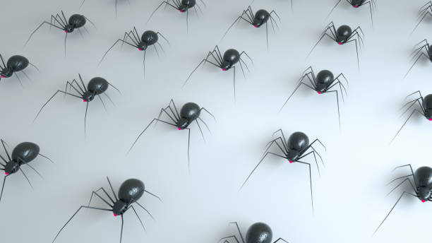 Black Steel Of Robot Spiders on White Background Black Steel Of Robot Spiders on White Background - 3D illustration (Animal, Arachnid, Arachnophobia, Backgrounds, Black Color) robot spider stock pictures, royalty-free photos & images