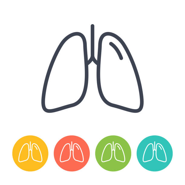 Lungs Icon - Thin Line Vector. Health and Medicine vector art illustration