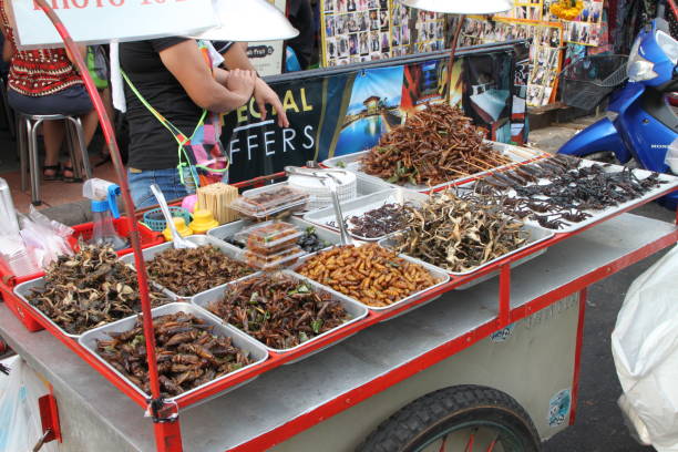 카오산 로드에서 트롤 리 길거리 음식을 판매하는 요리 튀김 곤충. 방콕, 태국. 2017년 5월 21일 - khao san road 뉴스 사진 이미지