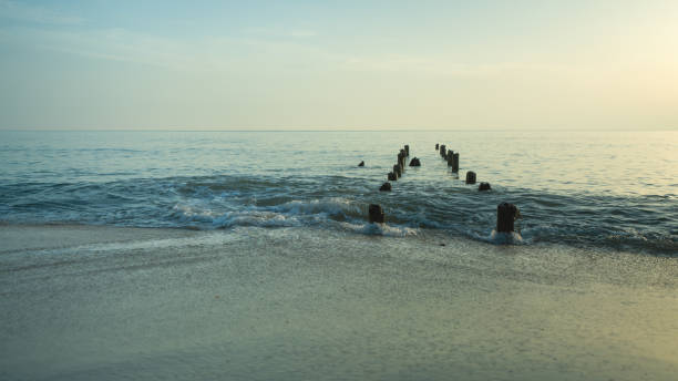 istock Holiday Photo 1157404567