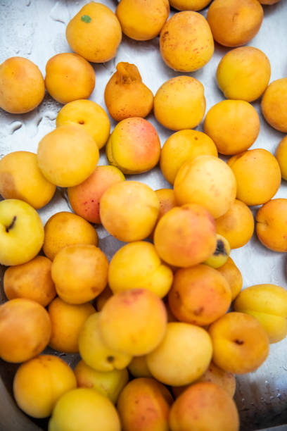 istock Closeup of Apricots 1157411880