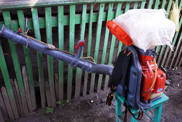 istock Device for spraying plants in the garden. 1157413086