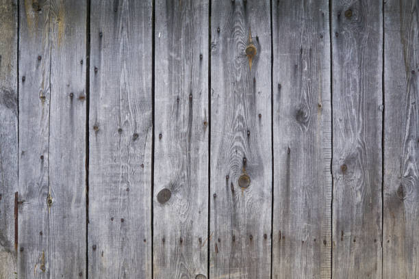 istock old wood rough texture background in row 1157413796
