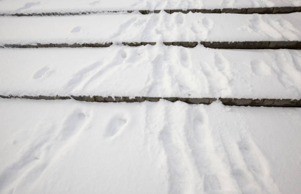 istock The staircase in the park 1157414917