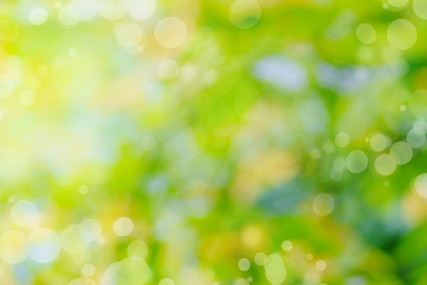 istock Abstract defocused nature background with green leaves and bokeh 1157417604