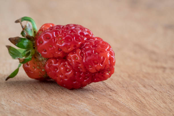 unusual shaped, deformed strawberry on a wooden table