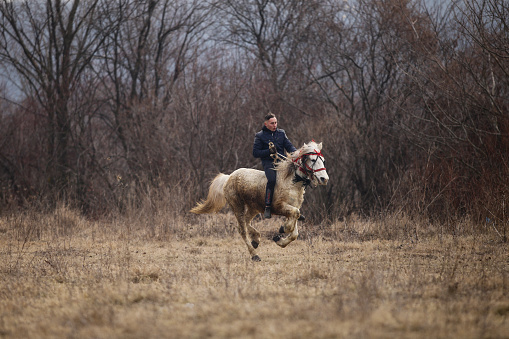 Pietrosani, Romania - January 6, 2019: Man is bareback riding an adorned horse before an Epiphany celebration horse race.