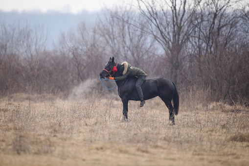 Pietrosani, Romania - January 6, 2019: Man is bareback riding an adorned horse before an Epiphany celebration horse race.