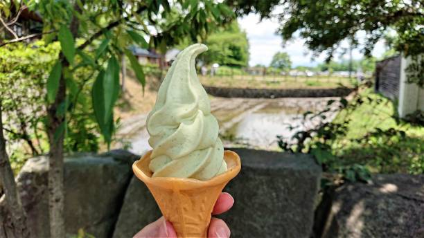 나가노 아즈미노의 유명한 와사비 농장에서 맛있는 와사비 아이스크림 - wasabi 뉴스 사진 이미지