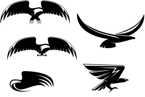 eagles tattoos - eagles stock illustrations