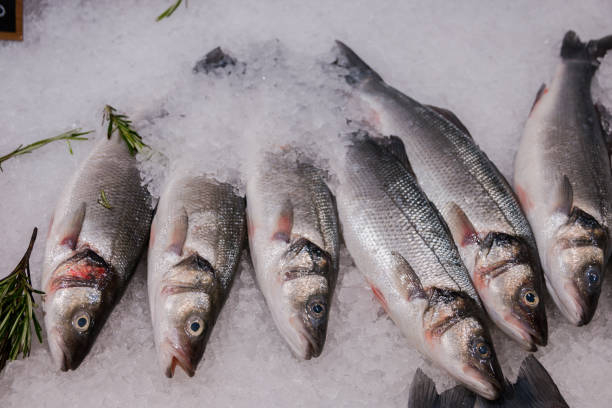 istock fresh fish on ice for selling at the market 1157430039