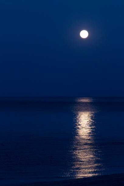 istock Full moon reflected in the sea 1157430287