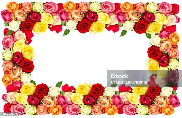 Roses Colorful Flowers Frame Stock Photo - Download Image Now - Beauty, Border - Frame, Bouquet