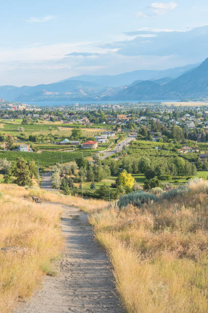 szlak pieszy na górze munson w lecie z widokiem na miasto penticton i jezioro skaha w oddali - okanagan penticton lake okanagan lake zdjęcia i obrazy z banku zdjęć