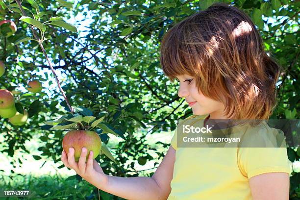 Chica En The Orchard Foto de stock y más banco de imágenes de Agricultura - Agricultura, Aire libre, Alegre