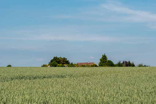 Landscape at Auvers-sur-Oise, where Van Gogh painted his lasts works.