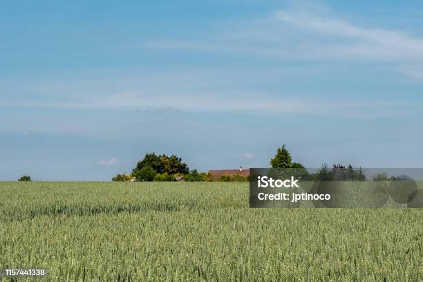 Auvers Stock Photo - Download Image Now - Agricultural Field, Vincent Van Gogh - Painter, Auvers-Sur-Oise