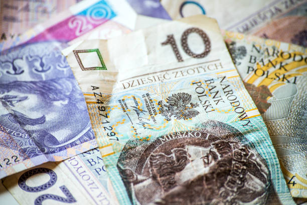 istock Polish money background 1157442429