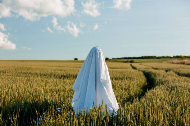 fantasma carino in un lenzuolo su un campo di grano - ghost women caucasian transparent foto e immagini stock