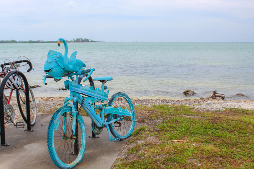Blue bike at Bird Key Car Park - Sarasota, Florida