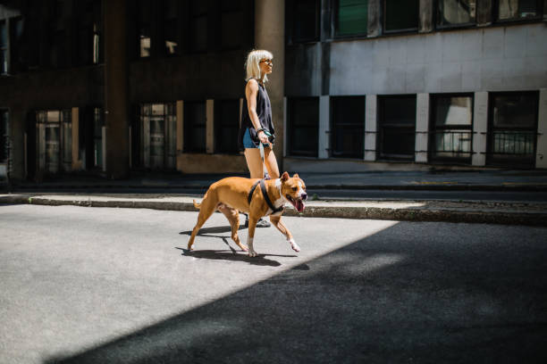 Young Woman And Her Dog