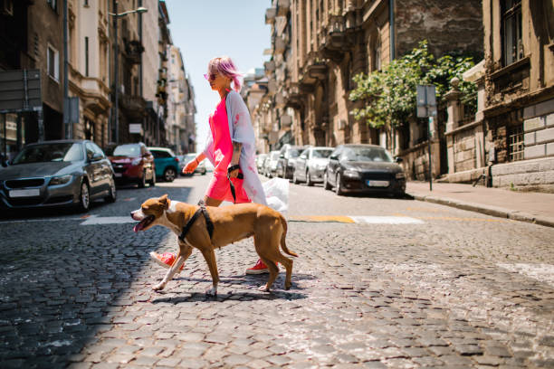 istock Young Woman Walking Her Dog 1157446303