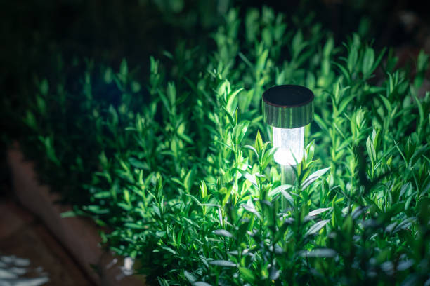 istock solar lanterns garden light with shrubs at home 1157446495