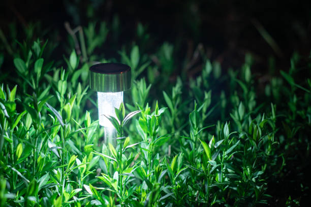 istock solar lanterns garden light with shrubs at home 1157446555