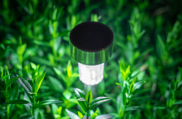 istock solar lanterns garden light with shrubs at home 1157447109