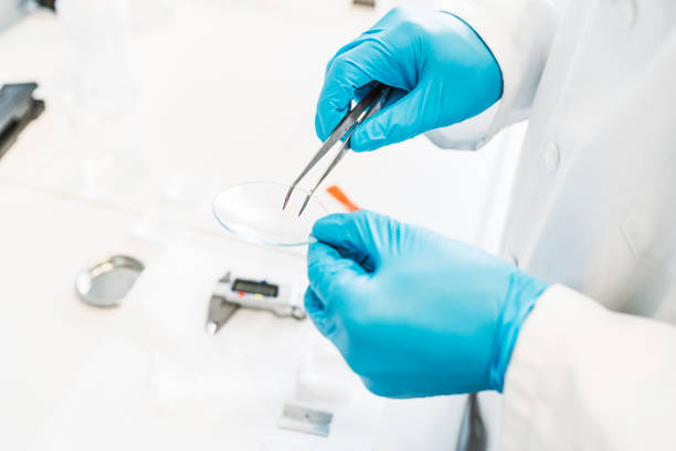istock Scientist hands holding watch glass and forceps 1157447765