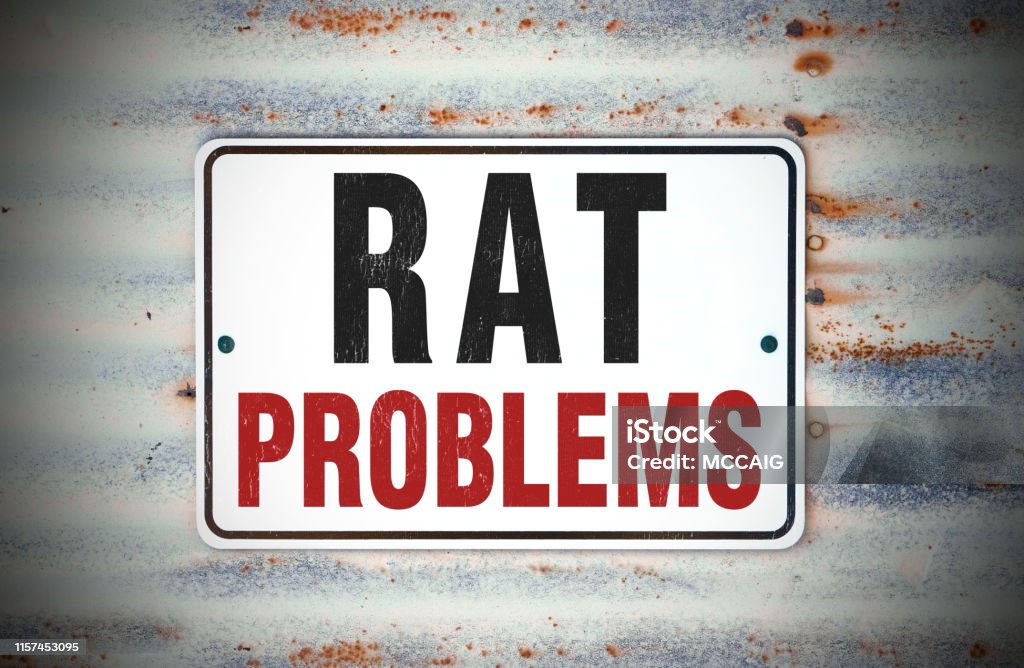 Rat Problem Add Rat Problems Sign Stock Photo - Download Image Now - Crop Sprayer ...