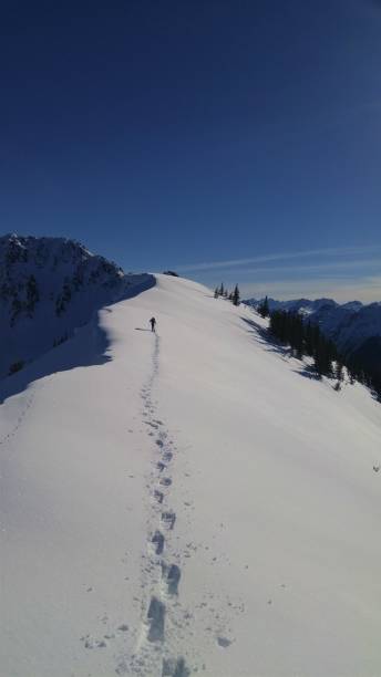 istock Man walking away on snowy ridge 1157464867