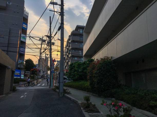 istock Summer days with hydrangeas children in Tokyo Japan 1157471329
