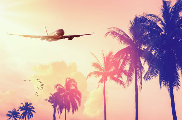 istock Airplane flying over tropical palm tree and sunset sky abstract background. Copy space of business summer vacation and travel adventure concept. Vintage tone filter effect color style. 1157475233